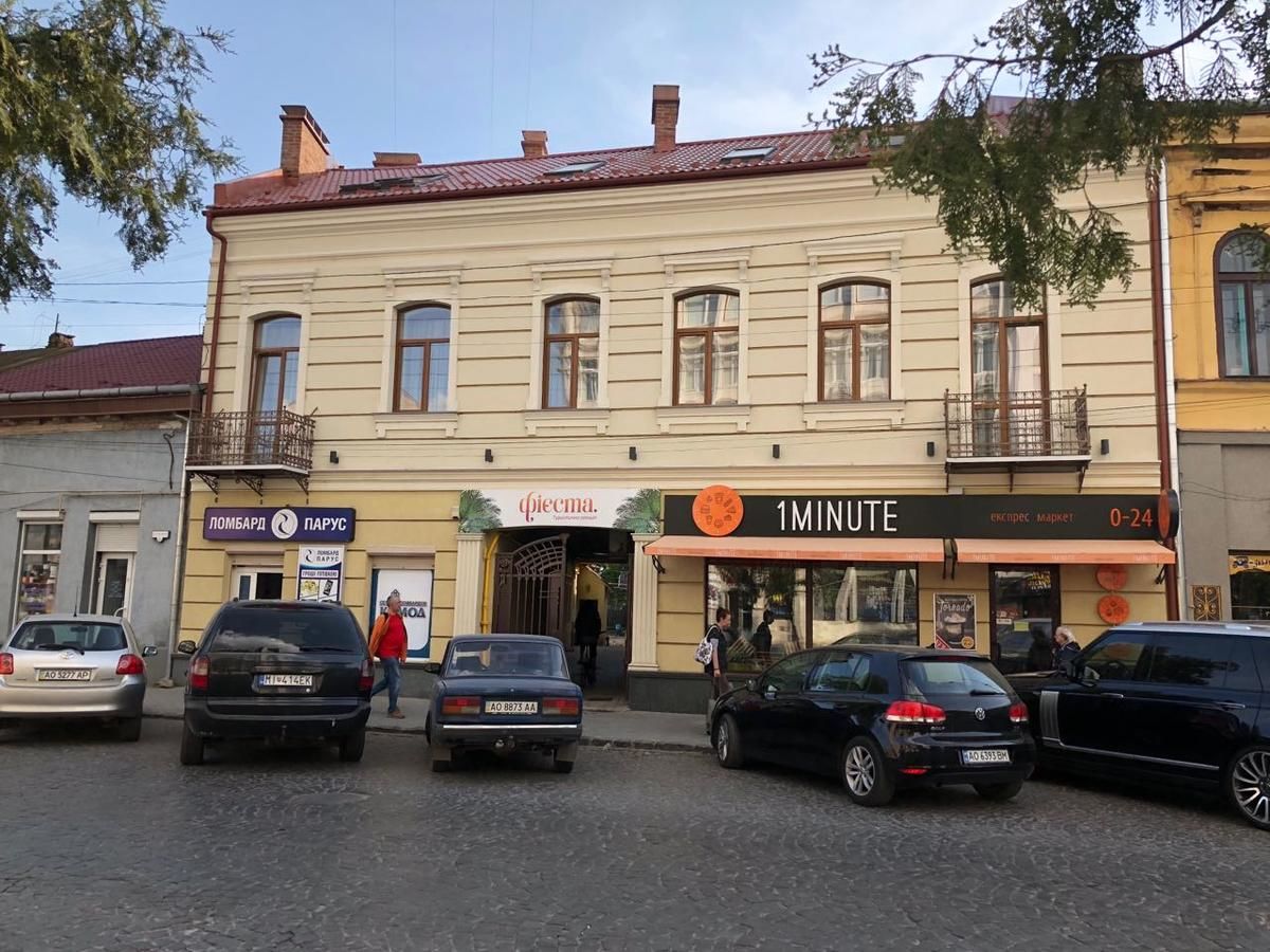 Апартаменты Wonderful flat on city center (Mukachivska 4/8) Ужгород-12